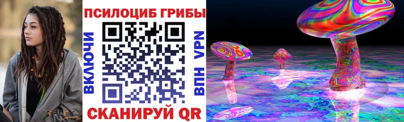 Псилоцибиновые грибы Psilocybine cubensis купить закладку Орлов